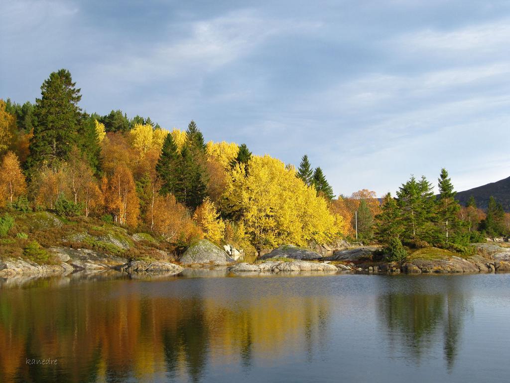 Skomakergarden Ulsteinvik Exteriér fotografie